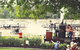 Mary Ann Steam Engine - thumb 2