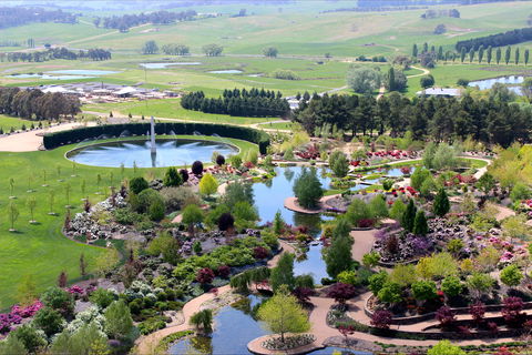Mayfield - Tourism Gold Coast 0