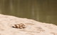 Murrumbidgee River - thumb 2