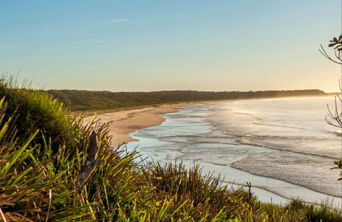 Narrawallee Creek Nature Reserve - Tourism Gold Coast 0