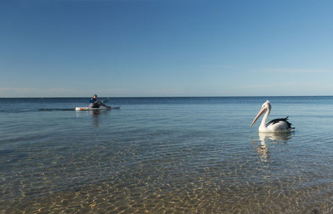 North Beach - Tourism Gold Coast 1