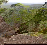 Pigeon House Mountain Didthul Walking Track - Tourism Gold Coast
