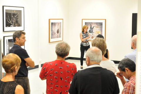 Pine Rivers Art Gallery - Tourism Gold Coast 1