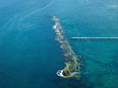 Port Noarlunga Reef Sanctuary Zone - Encounter Marine Park - Tourism Gold Coast 0
