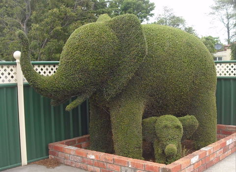Railton: Town Of Topiary - Tourism Gold Coast 0