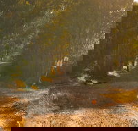 Raysource Road - Tourism Gold Coast