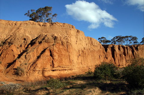 Red Banks Conservation Park - Tourism Gold Coast 0