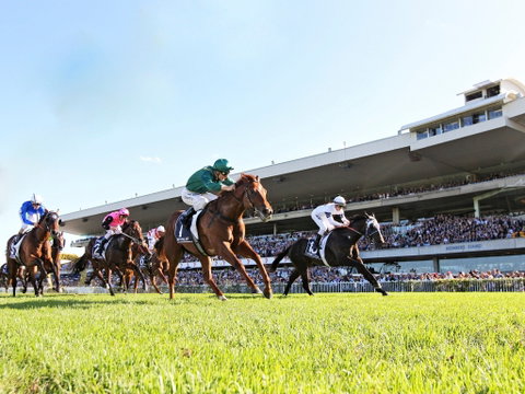 Rosehill Gardens Racecourse - Tourism Gold Coast 0