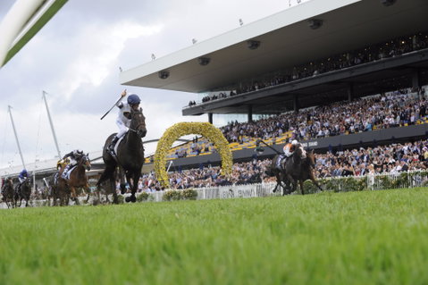 Rosehill Gardens Racecourse - Tourism Gold Coast 1