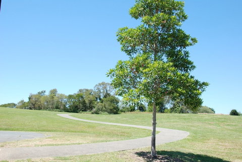 Samford Valley Rail Trail - Tourism Gold Coast 2