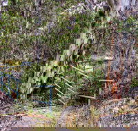 Sawpit Walking Track - Tourism Gold Coast