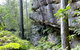 She-Oak Crossing Walk - thumb 0