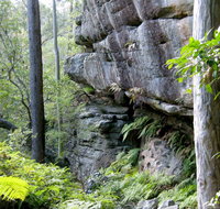 She-Oak Crossing Walk - Tourism Gold Coast