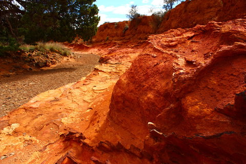 Skytrek - Gold Coast 1