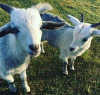 Splitters Farm - Tourism Gold Coast