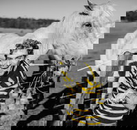 Spring Markets - Gold Coast