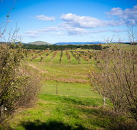 Tarago Truffles - Tourism Gold Coast