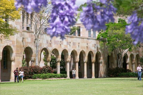 The University Of Queensland - Tourism Gold Coast 0