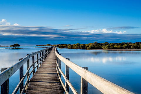 Urunga Boardwalk - Tourism Gold Coast 1