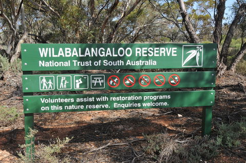 Wilabalangaloo Reserve - Tourism Gold Coast 0