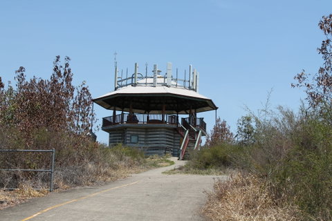 Wild Horse Mountain Lookout - Tourism Gold Coast 2