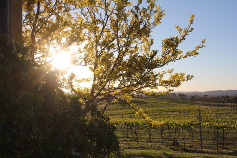 Wine Trail: Queanbeyan-Palerang - Tourism Gold Coast 1