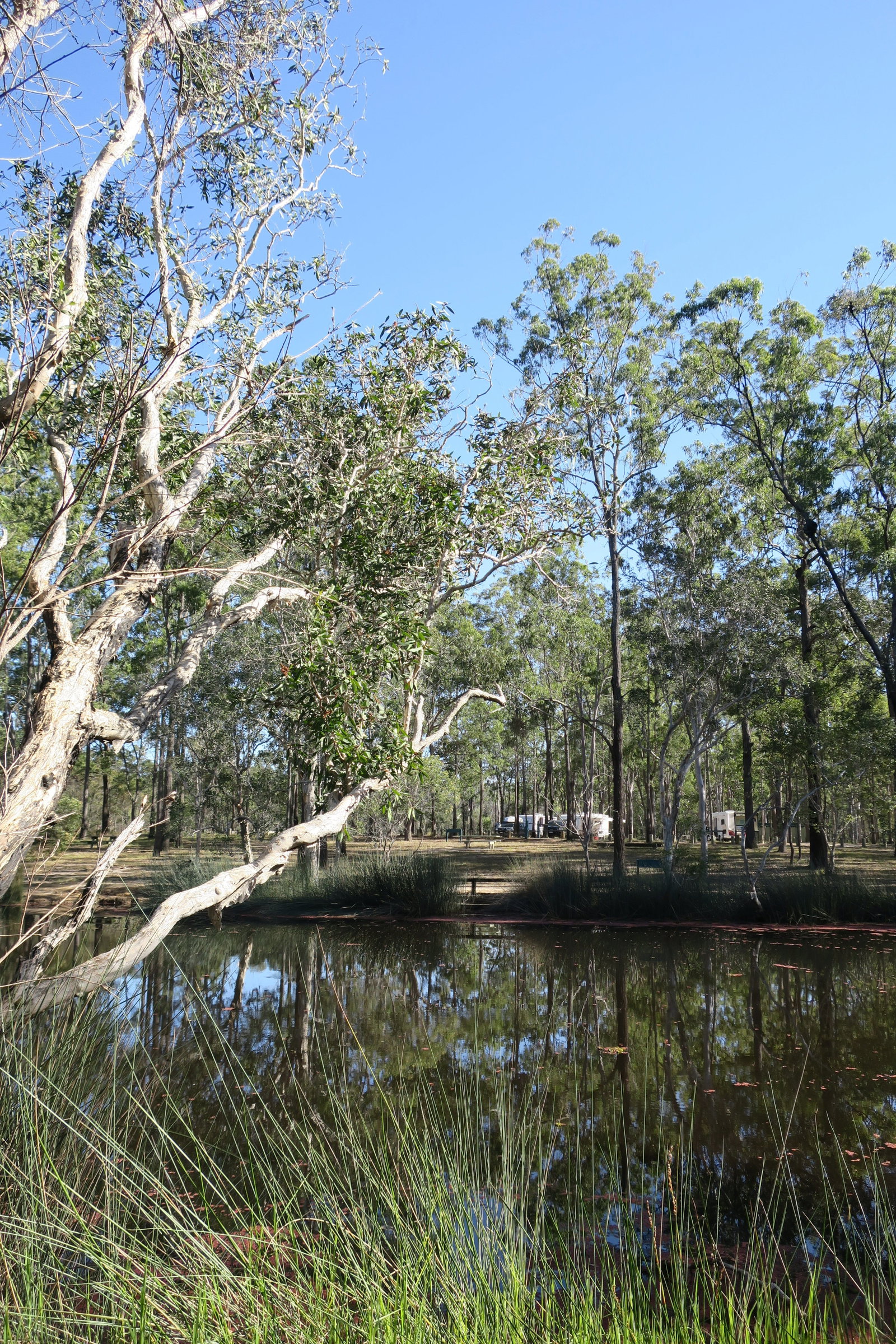 Duckinwilla QLD Tourism Gold Coast