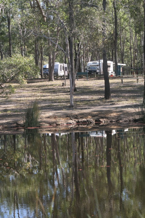 Wongi State Forest - Tourism Gold Coast 1