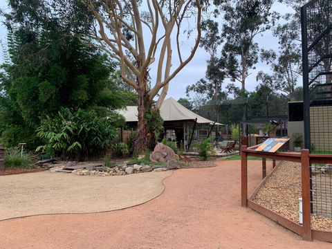 Zambi Wildlife Retreat - Tourism Gold Coast 2