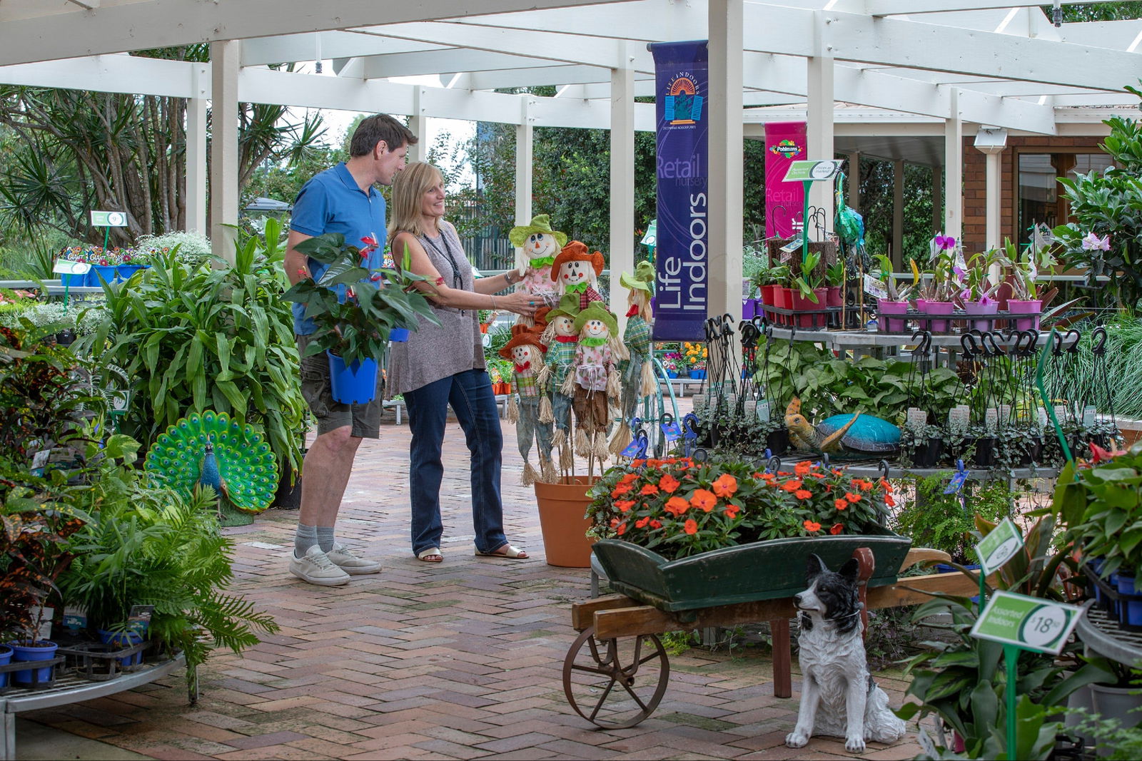 Adare QLD Tourism Gold Coast