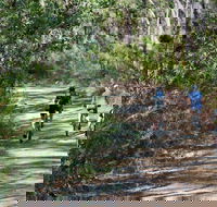 Andersons Trail - Tourism Gold Coast