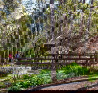 Armadale - Gold Coast