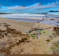 Avenue Beach - Tourism Gold Coast