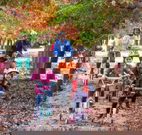 Beechworth to Everton Station 16km - Tourism Gold Coast