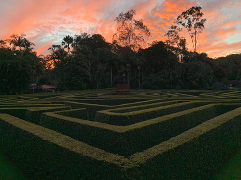 Bellingham Maze - Tourism Gold Coast 0