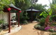Black Dragon Gardens Wulong Yuan - thumb 1