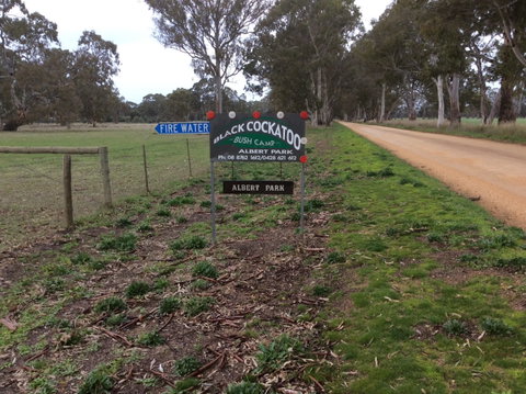 Black Cockatoo Bush Camp - Tourism Gold Coast 0