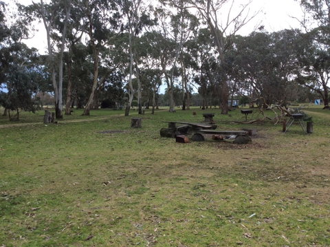 Black Cockatoo Bush Camp - Tourism Gold Coast 1