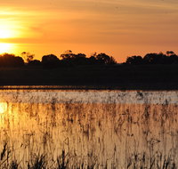 Bool Lagoon Game Reserve and Hacks Lagoon Conservation Park - Tourism Gold Coast