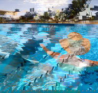 Boulia Sports and Aquatic Centre - Tourism Gold Coast