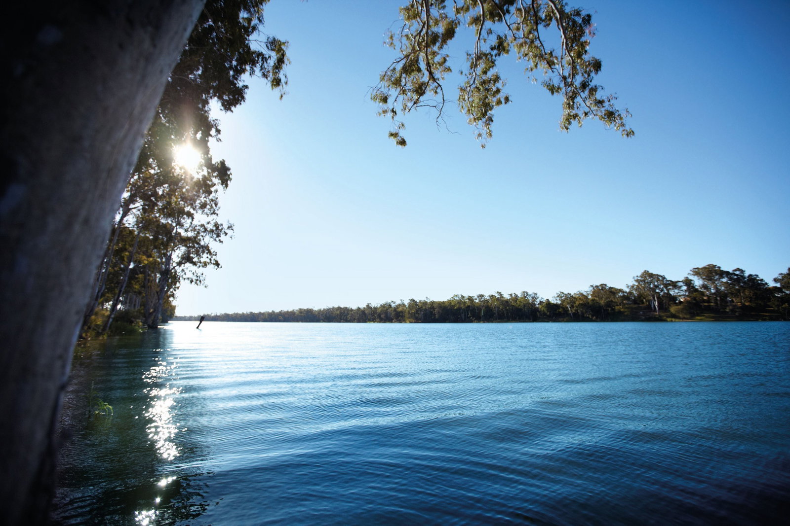 Branyan QLD Tourism Gold Coast