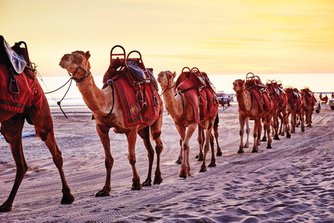 Broome And The Kimberley Coast - Tourism Gold Coast 0