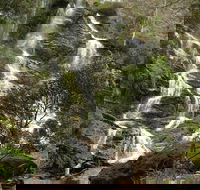 Buddong Falls Walking Track - Tourism Gold Coast