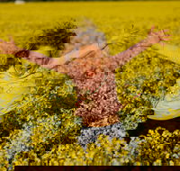 Canola Trail - Tourism Gold Coast