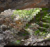Cave Creek Walking Track - Tourism Gold Coast