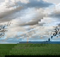 Clare Valley - Tourism Gold Coast