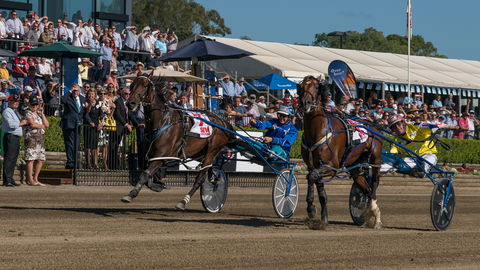 Club Menangle - Tourism Gold Coast 2