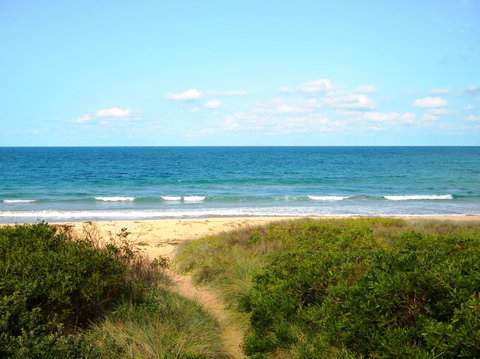 Culburra Surf Beach - Tourism Gold Coast 1