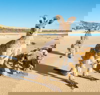 Diamond Head Beach - Tourism Gold Coast