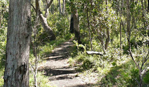 Euglah Rock Walking Track - Gold Coast 0